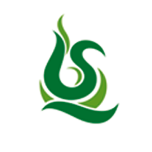 qingsheng charcoal